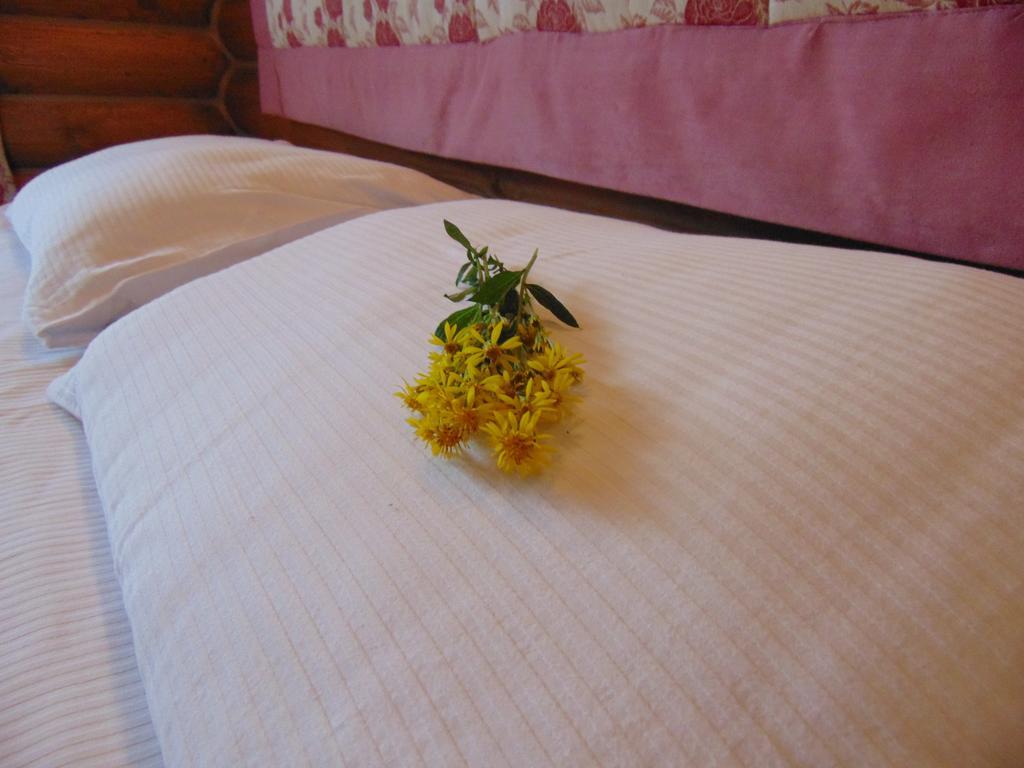 Leoslav Apartments Татарив Екстериор снимка